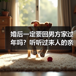 婚后一定要回男方家过年吗？听听过来人的亲身经历 - 辰飞雨恋来情感网