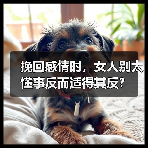 挽回感情时，女人别太懂事反而适得其反？(图3)