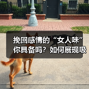 挽回感情的“女人味”你具备吗？如何展现吸引异性的魅力？(图4)