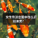 女生在谈恋爱中怎么识别渣男?(图4) 女生在谈恋爱中怎么识别渣男?(图4)