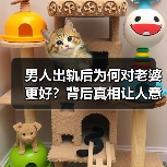 男人出轨后为何对老婆更好？背后真相让人意想不到 - 辰飞雨恋来情感网