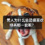 男人为什么总是很喜欢绿茶那一套呢?(图4) 男人为什么总是很喜欢绿茶那一套呢?(图4)
