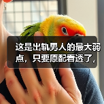 这是出轨男人的最大弱点，只要原配看透了，几句话就能分离小三 - 辰飞雨恋来情感网