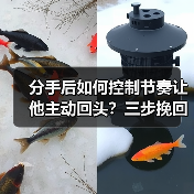 分手后如何控制节奏让他主动回头?三步挽回技巧(图3) 分手后如何控制节奏让他主动回头?三步挽回技巧(图3)