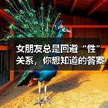 女朋友总是回避“性”关系，你想知道的答案都在这里 - 辰飞雨恋来情感网