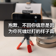 抱歉，不回你信息是因为你死缠烂打的样子真的很丑(图3)
