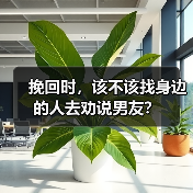 挽回时，该不该找身边的人去劝说男友？(图4)