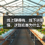 线上聊得嗨，线下进展慢，这到底是为什么？(图4)