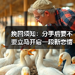 挽回须知：分手后要不要立马开启一段新恋情？ - 辰飞雨恋来情感网