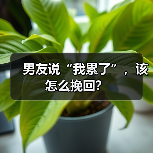 男友说“我累了”，该怎么挽回？ - 辰飞雨恋来情感网