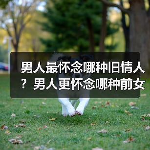男人最怀念哪种旧情人？男人更怀念哪种前女友 - 辰飞雨恋来情感网
