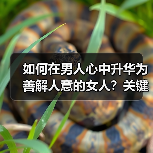 如何在男人心中升华为善解人意的女人？关键方法揭秘(图2)