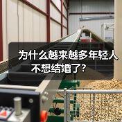为什么越来越多年轻人不想结婚了？(图3)