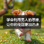 学会利用男人的思维，让你的挽回更加迅速(图2)