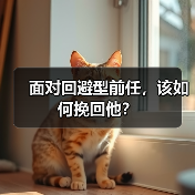 面对回避型前任，该如何挽回他？(图2)