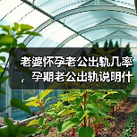 老婆怀孕老公出轨几率，孕期老公出轨说明什么(图3)