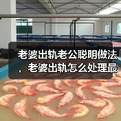 老婆出轨老公聪明做法，老婆出轨怎么处理最好 - 辰飞雨恋来情感网