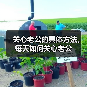 关心老公的具体方法,每天如何关心老公(图2) 关心老公的具体方法,每天如何关心老公(图2)