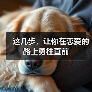 这几步，让你在恋爱的路上勇往直前(图2)