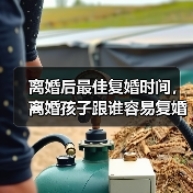 离婚后最佳复婚时间，离婚孩子跟谁容易复婚 - 辰飞雨恋来情感网