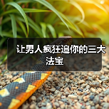 让男人疯狂追你的三大法宝(图3)