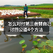 怎么对付第三者替自己讨回公道4个方法 - 辰飞雨恋来情感网