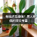 有钱还是颜值？男人择偶的现实考量(图3)