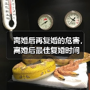 离婚后再复婚的危害，离婚后最佳复婚时间(图2)