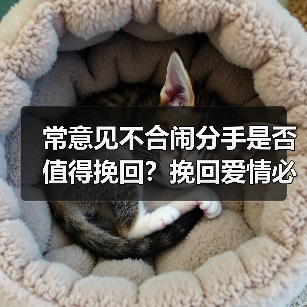常意见不合闹分手是否值得挽回？挽回爱情必修课 - 辰飞雨恋来情感网