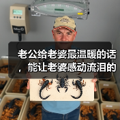 老公给老婆最温暖的话，能让老婆感动流泪的话 - 辰飞雨恋来情感网