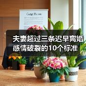 夫妻超过三条迟早离婚 感情破裂的10个标准(图3)
