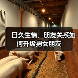 日久生情，朋友关系如何升级男女朋友(图3)