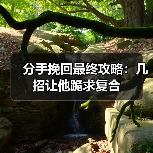 分手挽回最终攻略：几招让他跪求复合(图4)