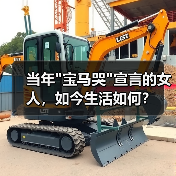 当年宝马哭宣言的女人，如今生活如何？(图4)