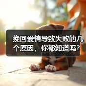 挽回爱情导致失败的几个原因，你都知道吗？ - 辰飞雨恋来情感网