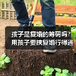 孩子是复婚的筹码吗？用孩子要挟复婚行得通吗？想复婚怎么办？ - 辰飞雨恋来情感网