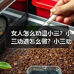 女人怎么劝退小三？小三劝退怎么做？小三劝退师是干啥的？(图3)