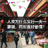 人类为什么实行一夫一妻制，同时喜好偷情？(图4)