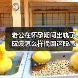 老公在怀孕期间出轨了应该怎么样挽回这段感情(图2)