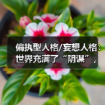偏执型人格/妄想人格：世界充满了“阴谋”，我永远都是受害者(图4)