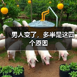 男人变了，多半是这四个原因 - 辰飞雨恋来情感网