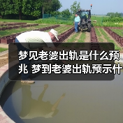 梦见老婆出轨是什么预兆 梦到老婆出轨预示什么 - 辰飞雨恋来情感网