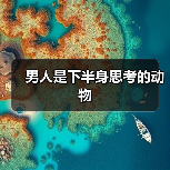 男人是下半身思考的动物 - 辰飞雨恋来情感网