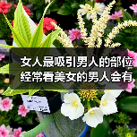 女人最吸引男人的部位 经常看美女的男人会有这几种反应(图1)