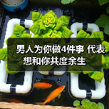 男人为你做4件事 代表想和你共度余生